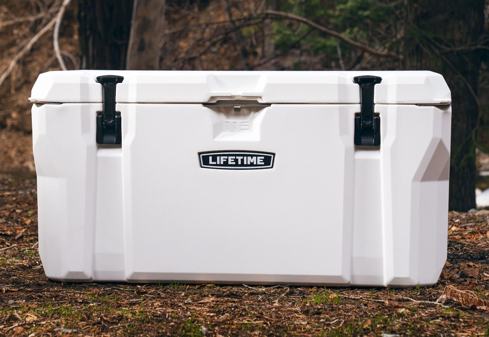 portable ice chest cooler