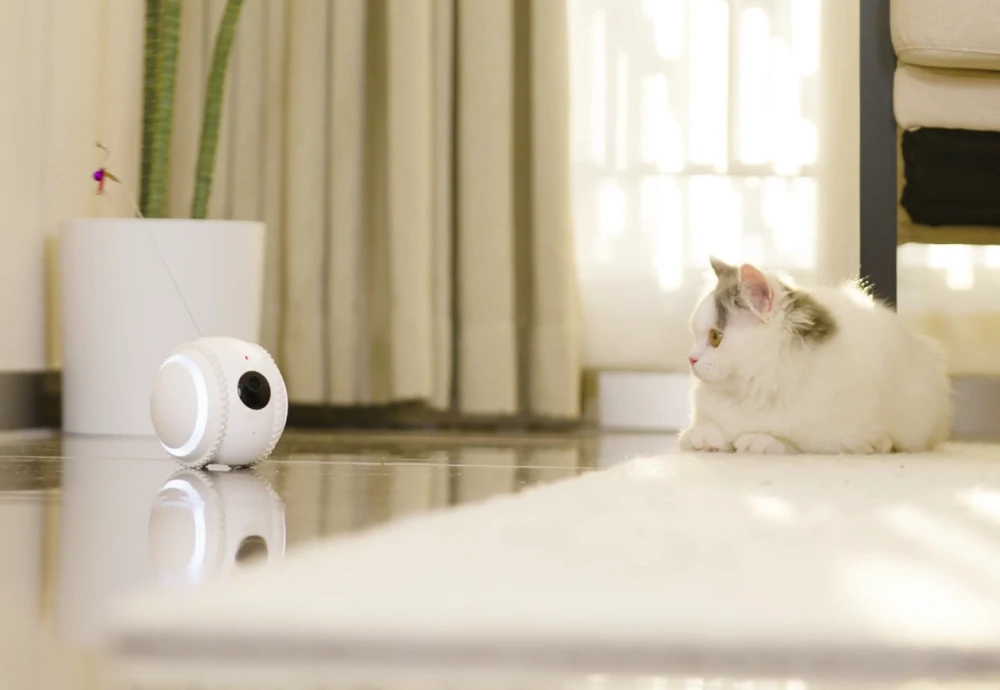 pet robot camera