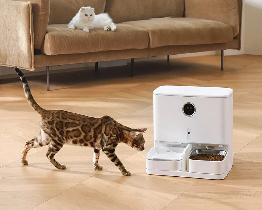 pet food dispenser