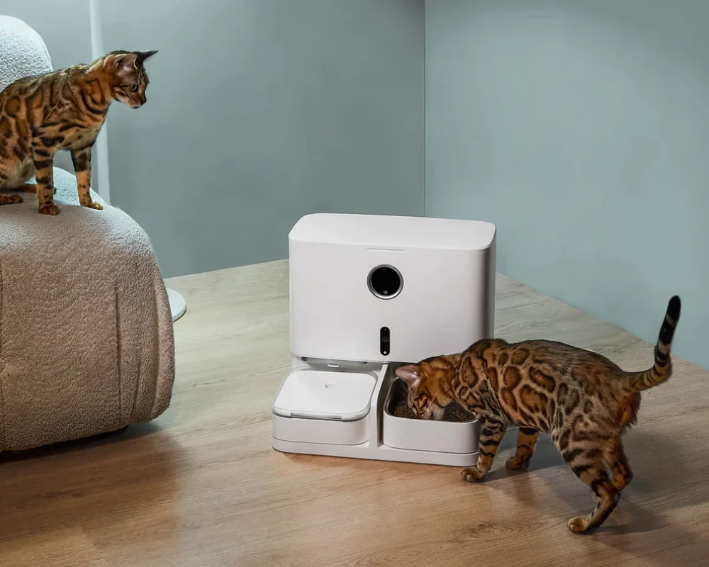 automatic pet feeder